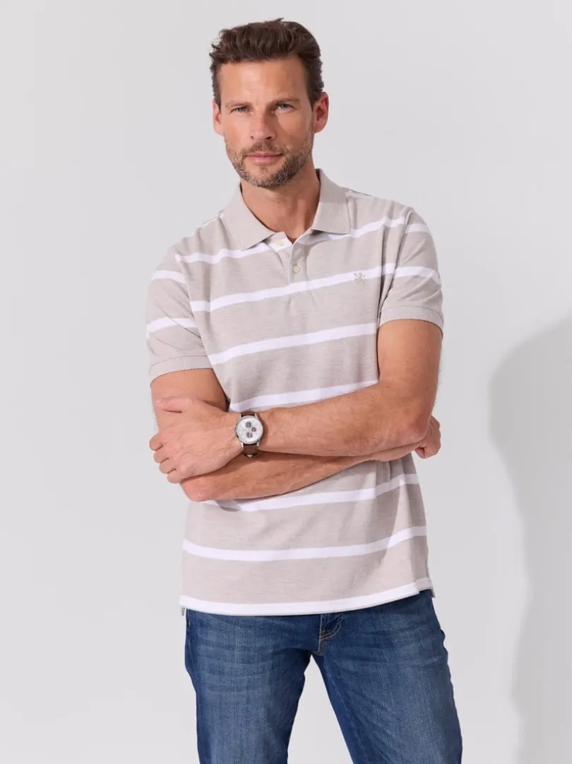 Morgan stripete pique